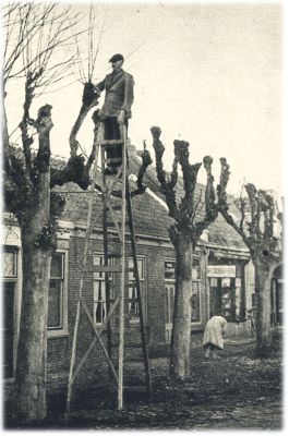 Klik voor de volgende foto