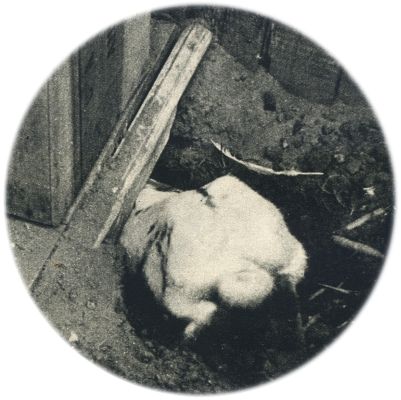 Klik voor de volgende foto
