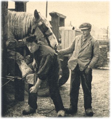 Klik voor de volgende foto