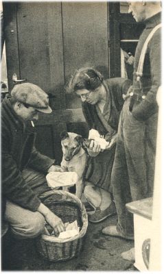 Klik voor de volgende foto