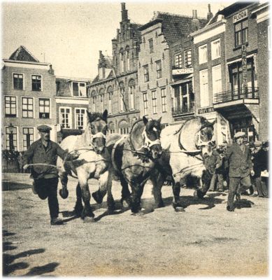 Klik voor de volgende foto