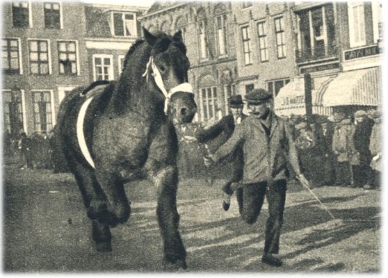 Klik voor de volgende foto