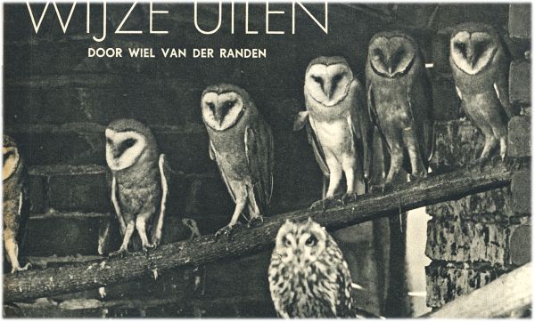Klik voor de volgende foto