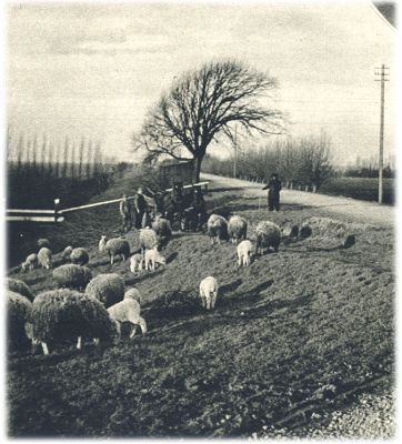 Klik voor de volgende foto