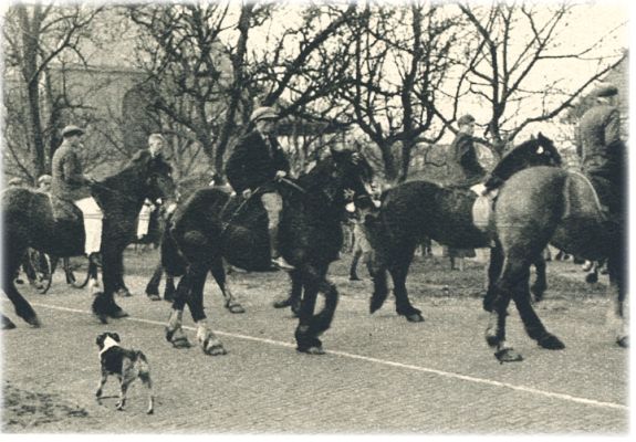 Klik voor de volgende foto