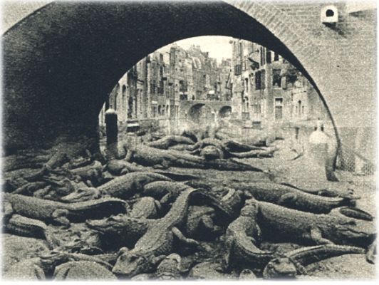 Klik voor de volgende foto