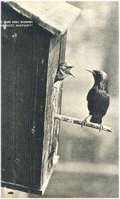 Klik voor de volgende foto