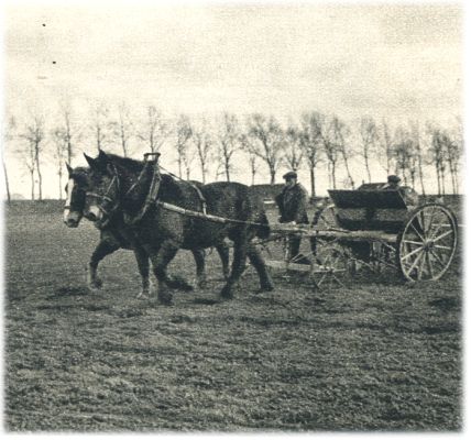 Klik voor de volgende foto