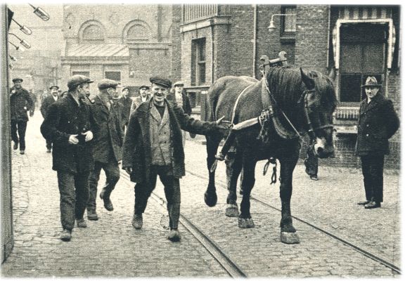 Klik voor de volgende foto