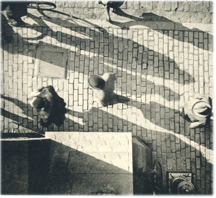 Klik voor de volgende foto