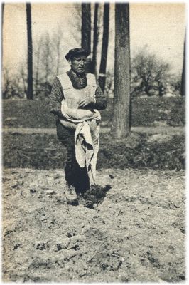 Klik voor de volgende foto