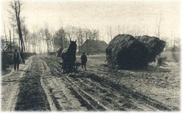 Klik voor de volgende foto