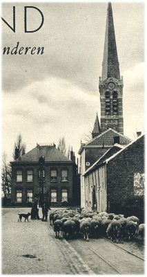 Klik voor de volgende foto