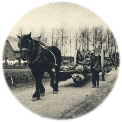 Klik voor de volgende foto