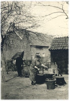 Klik voor de volgende foto