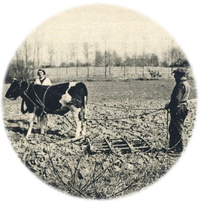 Klik voor de volgende foto