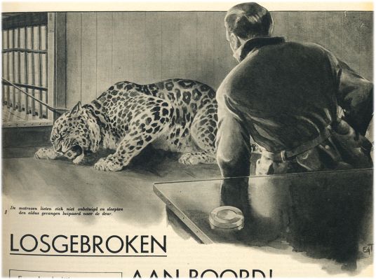 Klik voor de volgende foto