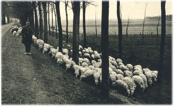 Klik voor de volgende foto