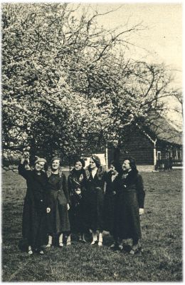 Klik voor de volgende foto