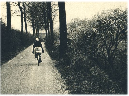 Klik voor de volgende foto