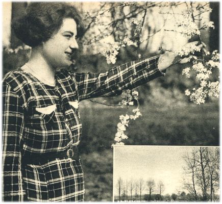 Klik voor de volgende foto