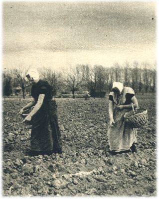 Klik voor de volgende foto