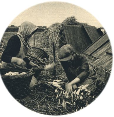 Klik voor de volgende foto
