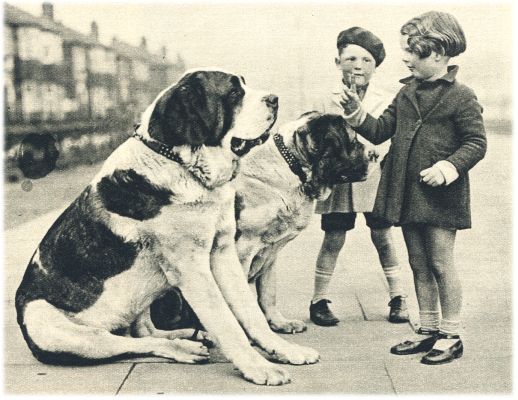 Klik voor de volgende foto