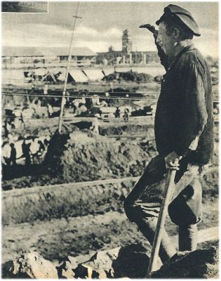 Klik voor de volgende foto