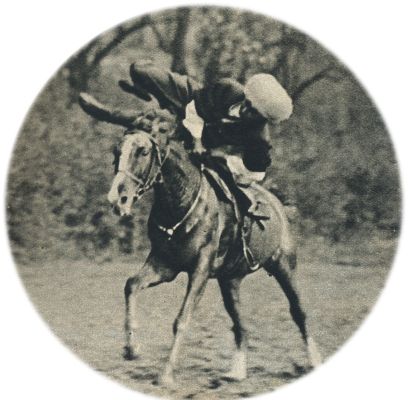 Klik voor de volgende foto