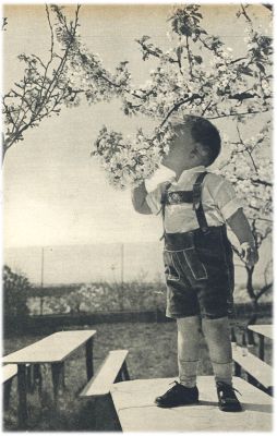 Klik voor de volgende foto