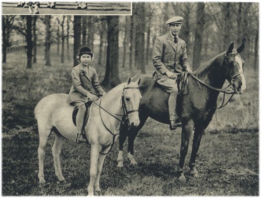 Klik voor de volgende foto