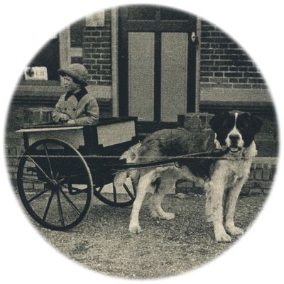 Klik voor de volgende foto