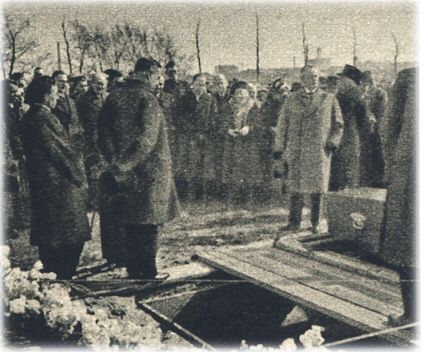 Klik voor de volgende foto