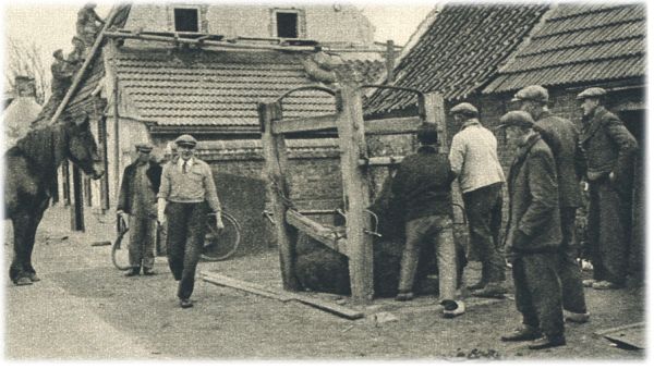 Klik voor de volgende foto