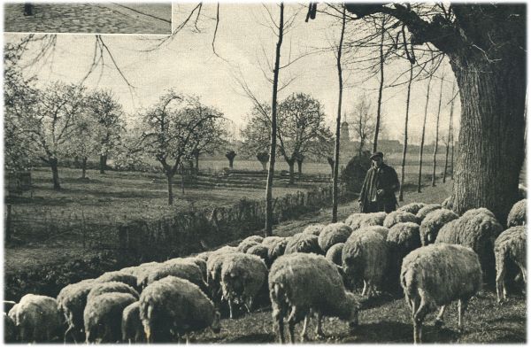 Klik voor de volgende foto
