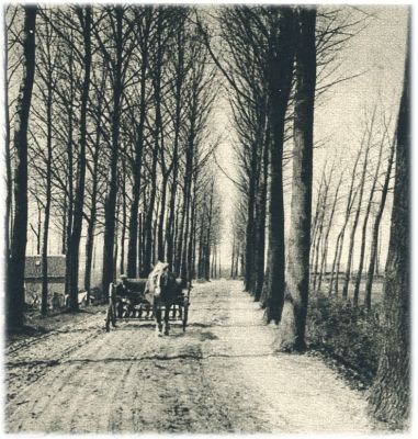 Klik voor de volgende foto