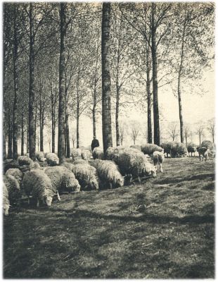 Klik voor de volgende foto