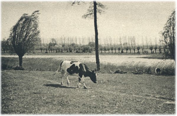 Klik voor de volgende foto