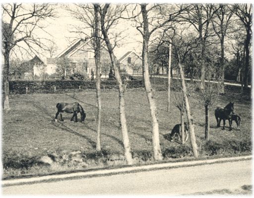 Klik voor de volgende foto