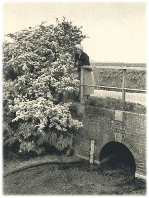 Klik voor de volgende foto