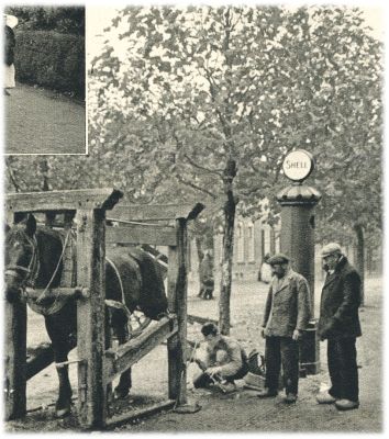 Klik voor de volgende foto
