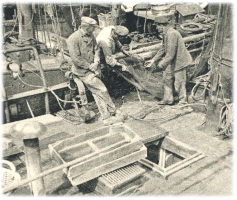 Klik voor de volgende foto