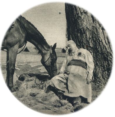 Klik voor de volgende foto