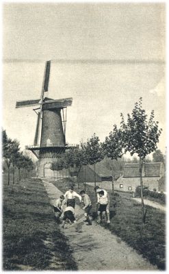 Klik voor de volgende foto