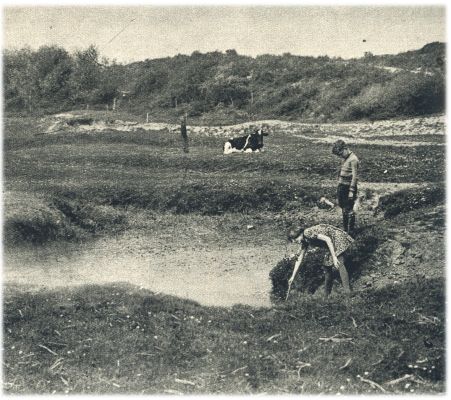 Klik voor de volgende foto
