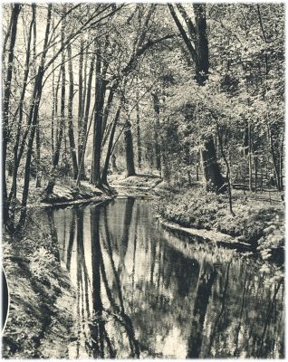 Klik voor de volgende foto