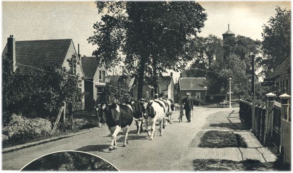 Klik voor de volgende foto