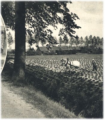 Klik voor de volgende foto