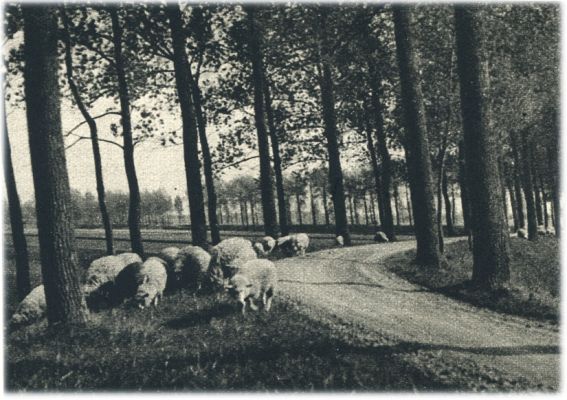 Klik voor de volgende foto